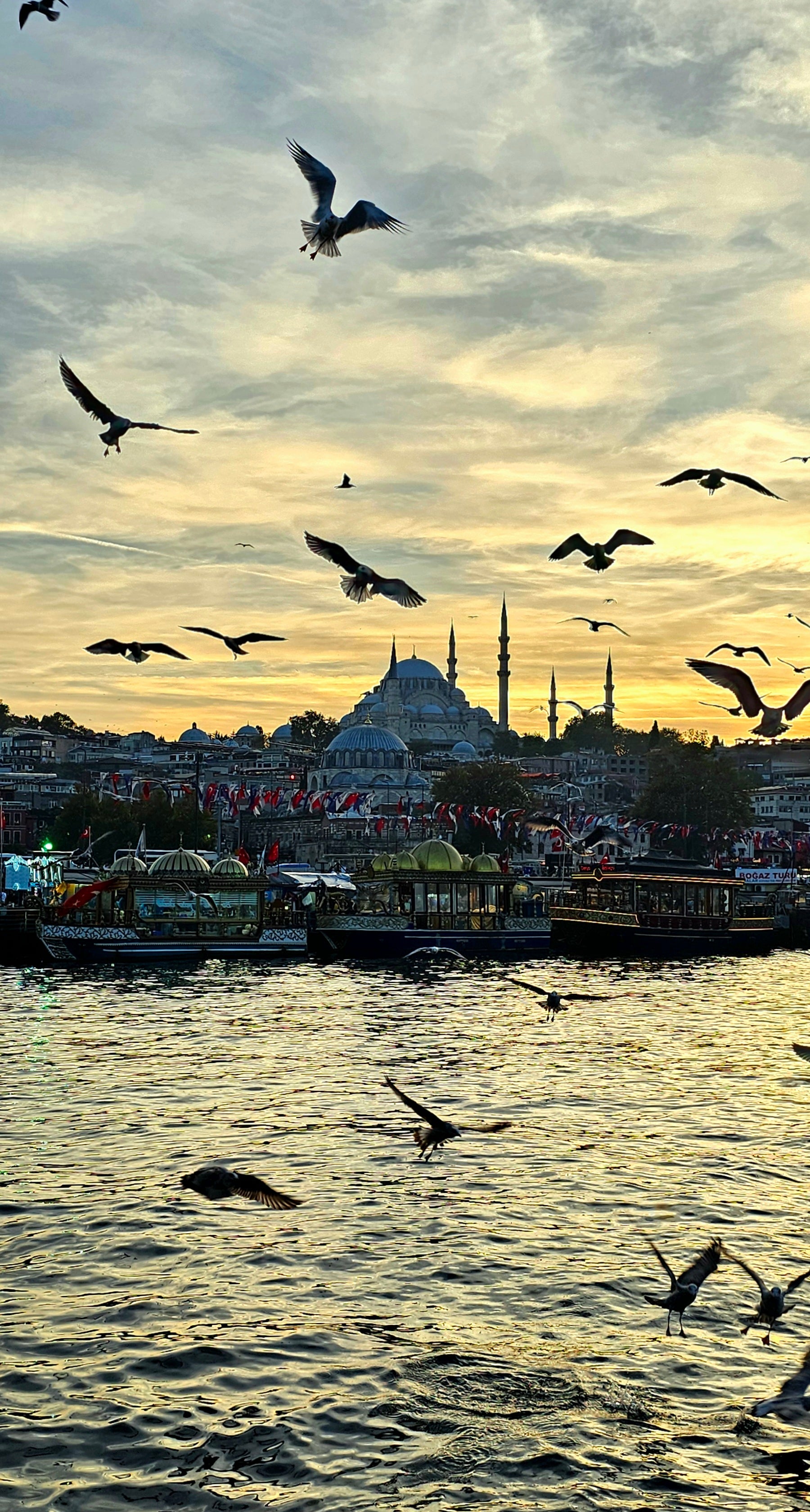 Estambul una ciudad entre mundos ❤️