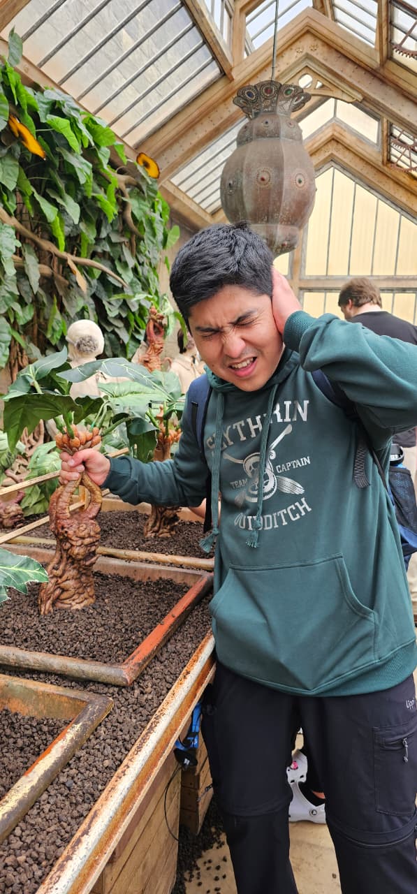 Aventuras en londres